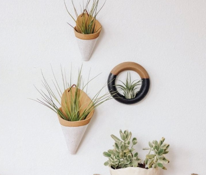The Carter & Rose large ceramic wall cone is a unique way to bring plant life to your walls, from air plants, dried flower arrangements, or artificial plants. Try it with our XL Juncifolia air plant. Each ceramic cone is handmade and will differ slightly from the photo. Large cone dimensions: (LxWxH) 7.5x4.5x3 inches. *AIR PLANT NOT INCLUDED Explore the best and coolest gift ideas for plant enthusiasts!