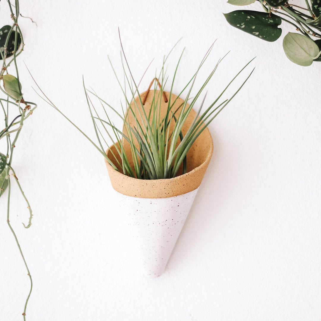 The Carter & Rose large ceramic wall cone is a unique way to bring plant life to your walls, from air plants, dried flower arrangements, or artificial plants. Try it with our Tillandsia Ionantha Maxima-Large!  Each ceramic cone is handmade and will differ slightly from the photo. Large cone dimensions: (LxWxH) 7.5x4.5x3 inches.  *AIR PLANT NOT INCLUDED Explore the best and coolest gift ideas for plant enthusiasts!